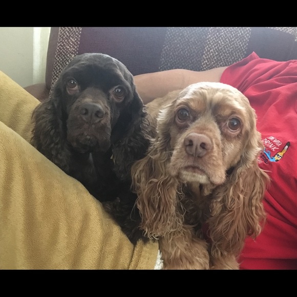 Meet your Posher, Reine - Picture 2 of 3